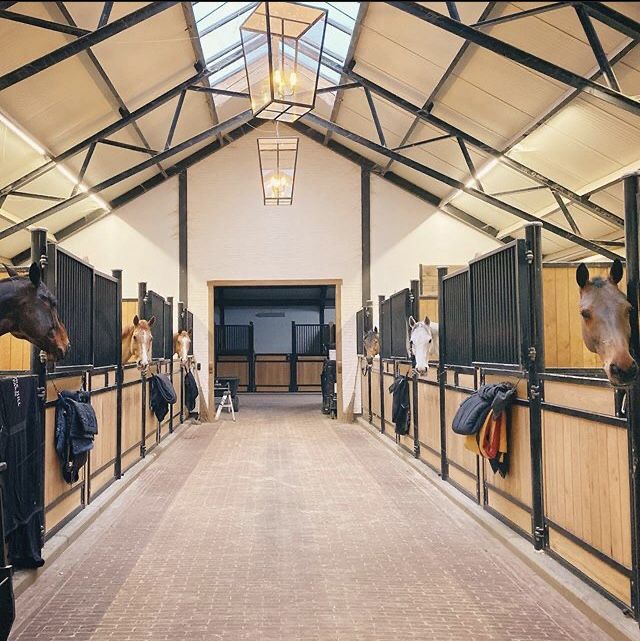 Steel Horse Stalls